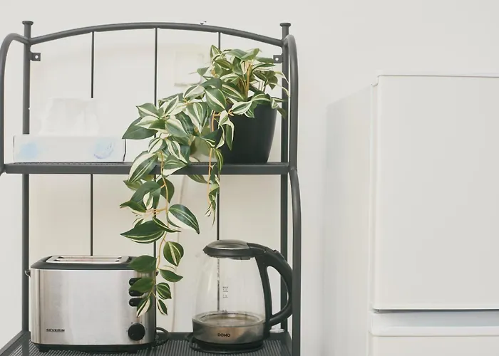 Porto By Shmoo! * Is-Swieqi