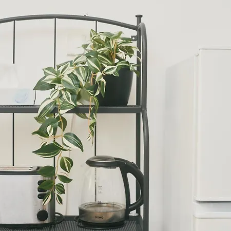 Porto By Shmoo! * Is-Swieqi