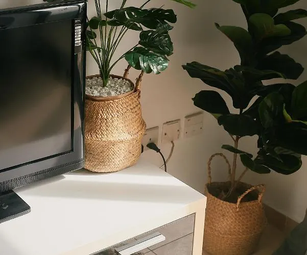 Porto By Shmoo! * Is-Swieqi